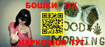 тгк Славгород