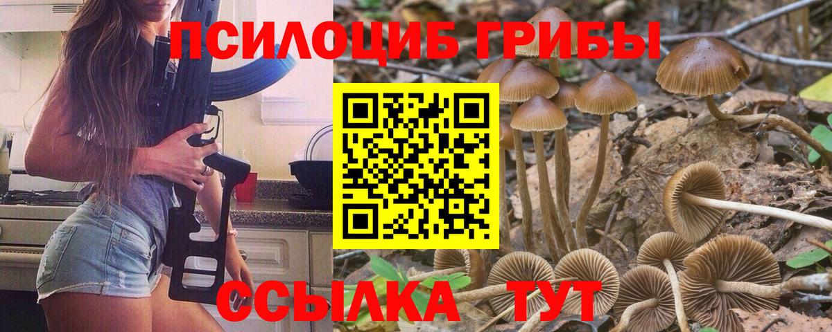 Галлюциногенные грибы ЛСД Лысьва