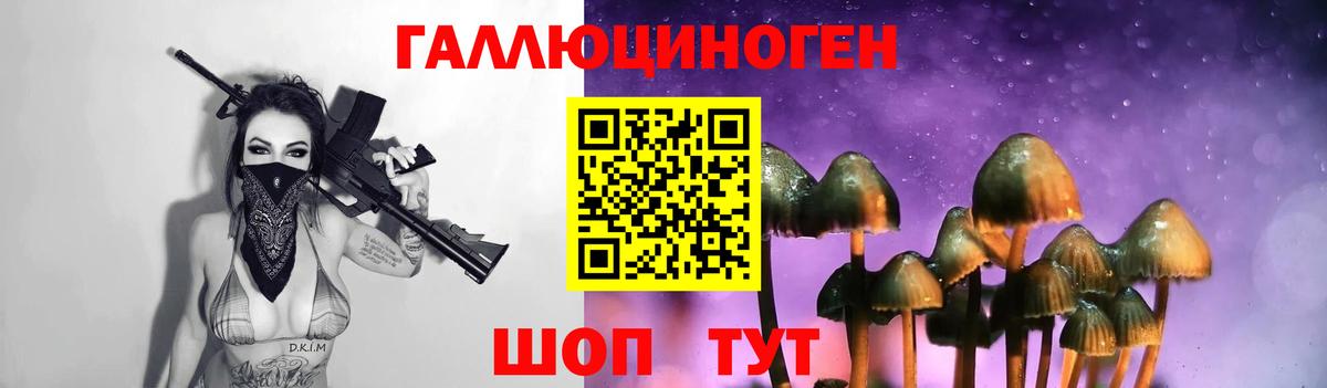 Лысьва  Галлюциногенные грибы Cubensis  Вход с VPN 